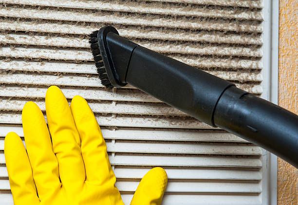 Best Affordable HVAC Duct Cleaning  in San Carlos Park, FL